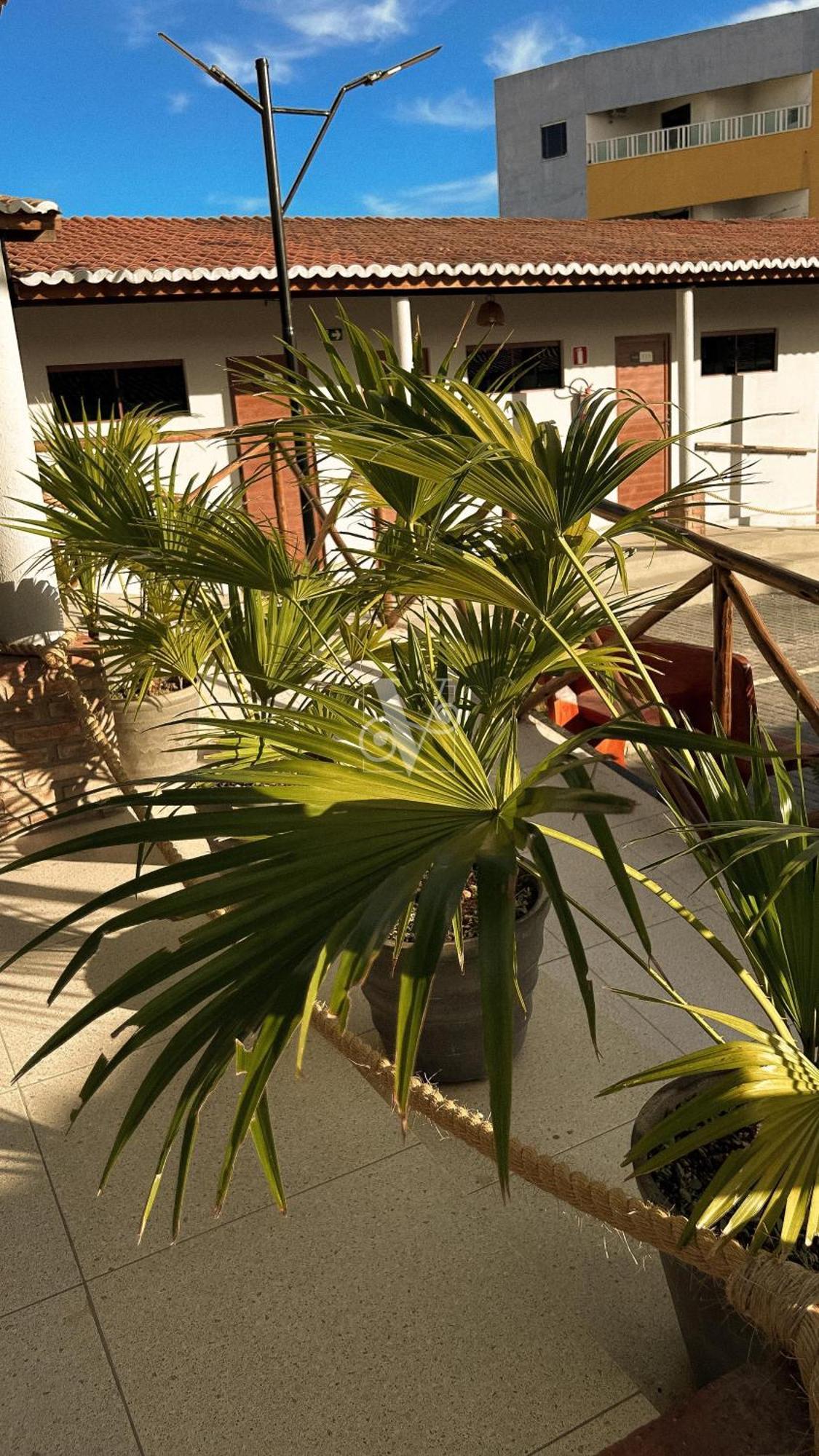 Village Comfort Hotel Canindé de São Francisco Esterno foto